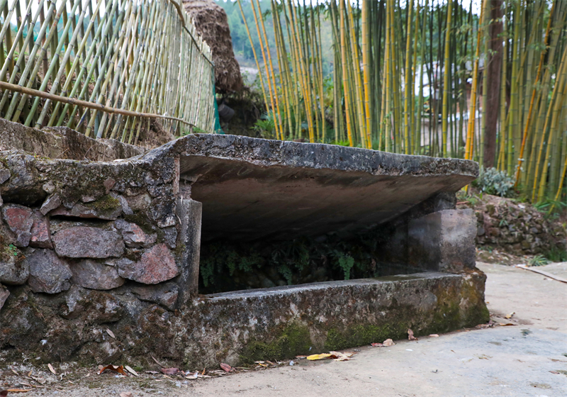 该水井已有近百年历史，水质清澈，一年四季水量充沛，在自来水修通前，水井是全村居民用水主要水源。